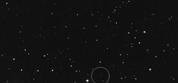 asteroid-2017-bx-rerun-slooh